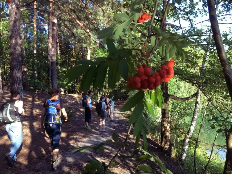 ergovive-mitarbeiter1